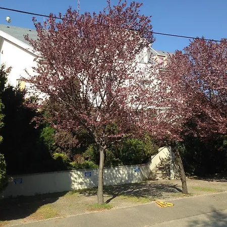 Belle Fleur Panzio B&B